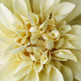 Striking Maroon Flower Hair Clip or Clip Brooch 402 (White, Red, Ivory, Maroon)