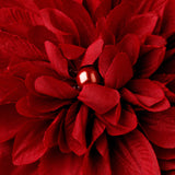 Striking Maroon Flower Hair Clip or Clip Brooch 402 (White, Red, Ivory, Maroon)