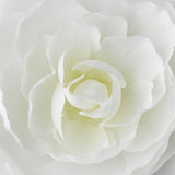 Elegant Bridal Hair Clip Pair - Clip 404