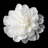 Elegant Bridal Dahlia X-Large Dahlia Alligator Flower Hair Clip 418