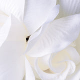 Elegant Double Rose Flower Hair Clip 427 with Brooch Pin