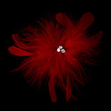 Bridal Crystal Feather Fascinator Clip 442 with Brooch Pin ( Ivory Red Black or Cafe )