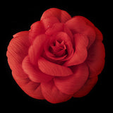 Flower Hair Clip with Brooch Pin 480