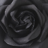 Flower Hair Clip 481 with Brooch Clip 481