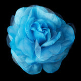 Flower Hair Clip 482-- Black,Blue,Green,Pink,Purple,White,Yellow,Red