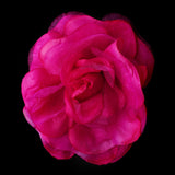 Flower Hair Clip 482-- Black,Blue,Green,Pink,Purple,White,Yellow,Red