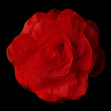 Flower Hair Clip 482-- Black,Blue,Green,Pink,Purple,White,Yellow,Red