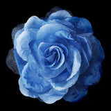 Flower Hair Clip 483-- Black,Blue,Green,Pink,Purple,White,Yellow,Red