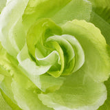 Flower Hair Clip 483-- Black,Blue,Green,Pink,Purple,White,Yellow,Red