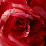 Flower Hair Clip 483-- Black,Blue,Green,Pink,Purple,White,Yellow,Red