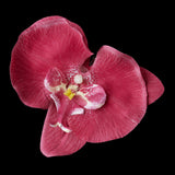 Orchid Hair Flower Clip 9945
