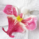 Orchid Hair Flower Clip 9945