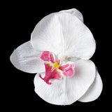 Orchid Hair Flower Clip 9945