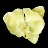 Orchid Hair Flower Clip 9945