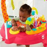Fisher Price Pink Petals or Rainforest Jumperoo DJC81 or K6070