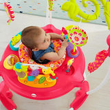 Fisher Price Pink Petals or Rainforest Jumperoo DJC81 or K6070