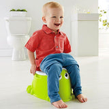 Fisher Price Froggy Potty DKH99
