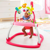 Fisher Price Floral Confetti SpaceSaver Jumperoo DKT02