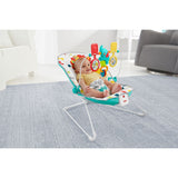 Fisher Price Colorful Carnival Bouncer DYR03