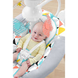 Fisher Price Revolve Swing DRF91