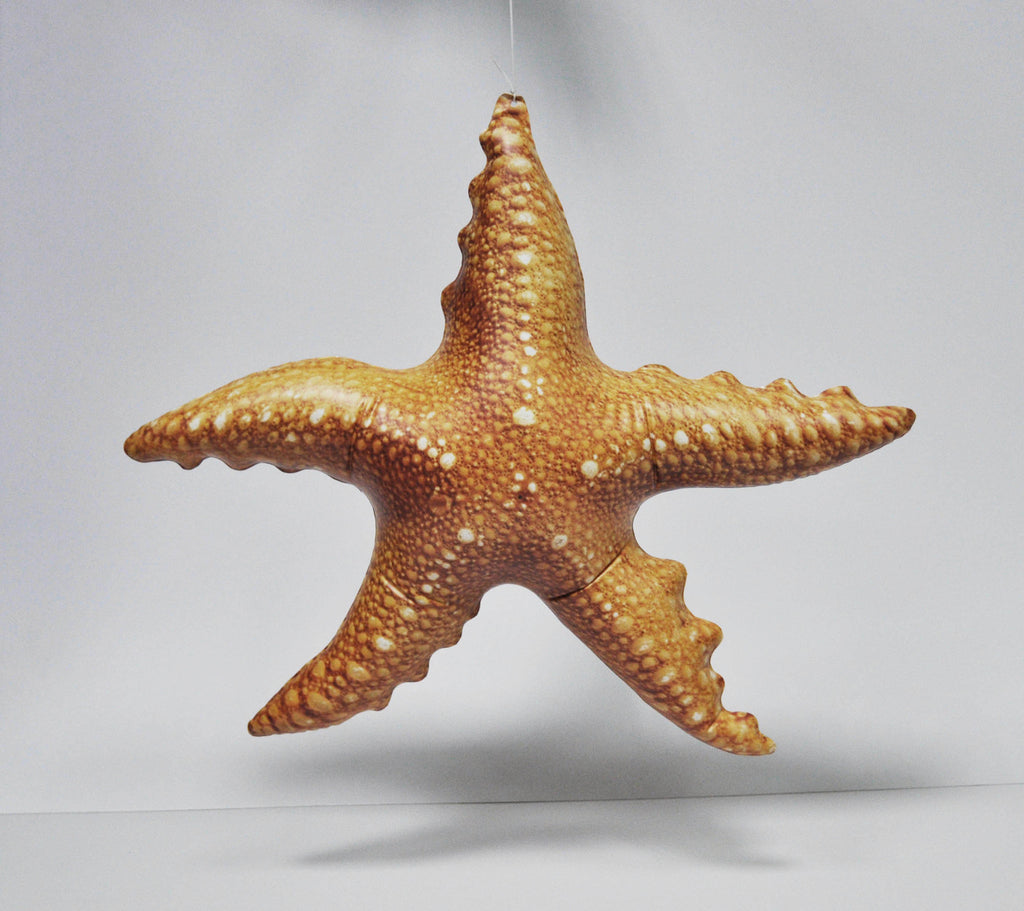 Jet Creations 20" L Inflatable Starfish Ocean
