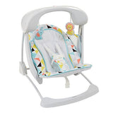 Fisher Price Deluxe Take-Along Swing & Seat DYH31 or CJV03