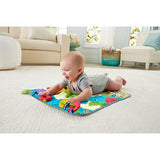 Fisher Price On-the-Go Activity Throw DYW52