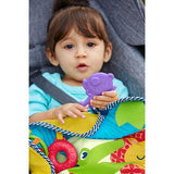 Fisher Price On-the-Go Activity Throw DYW52