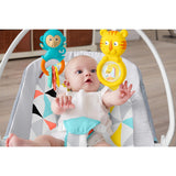 Fisher Price Fun 'n Fold Bouncer FBR62