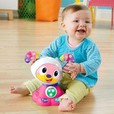 Fisher Price Dance & Move Beat Bow Wow Green or Pink
