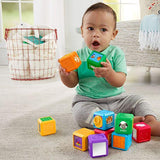 Fisher Price Laugh & Learn® First Words Animal or Number Blocks