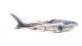 Viahart 37 Inch Great White Shark Stuffed Animal Plush - Sammy The Shark