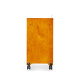 Guidecraft See and Store Rolling Storage Center G98305