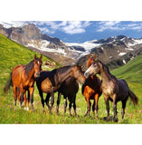 Melissa & Doug Mountain Horses Cardboard Jigsaw Puzzle (500 pcs, 1.5 x 2 feet)