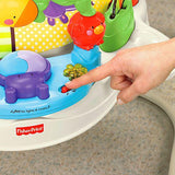 Fisher Price Luv U Zoo or Roarin' Rainforest Jumperoo V0206 or CBV63