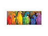 Melissa And Doug Parrot Rainbow Puzzle 1000pc