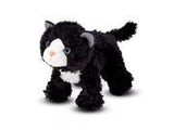 Lexie Black Cat
