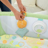 Fisher Price Rock 'n Play™ Portable Bassinet - Green X7757