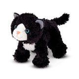 Lexie Black Cat