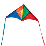 Mini Rainbow Delta Kite